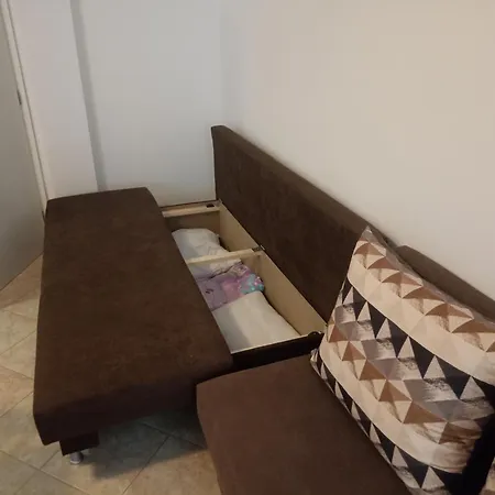 Silversprings Lucie *