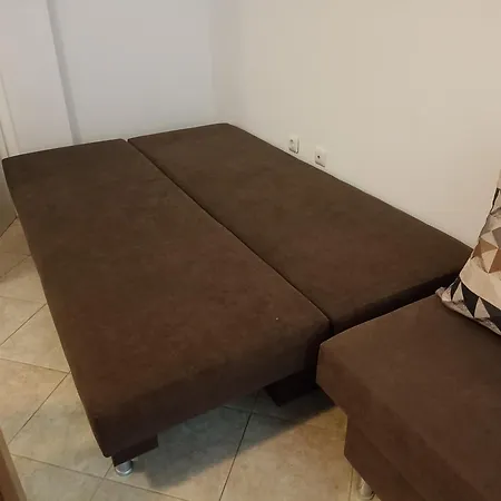 Silversprings Lucie Slantchev Briag